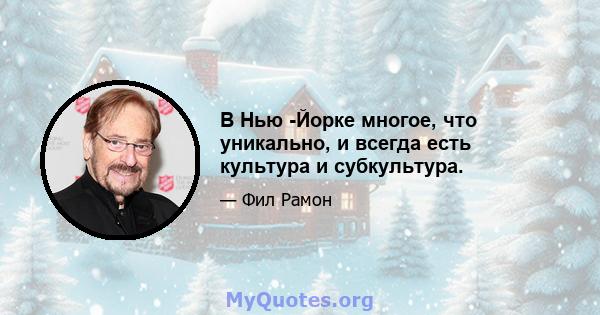 В Нью -Йорке многое, что уникально, и всегда есть культура и субкультура.