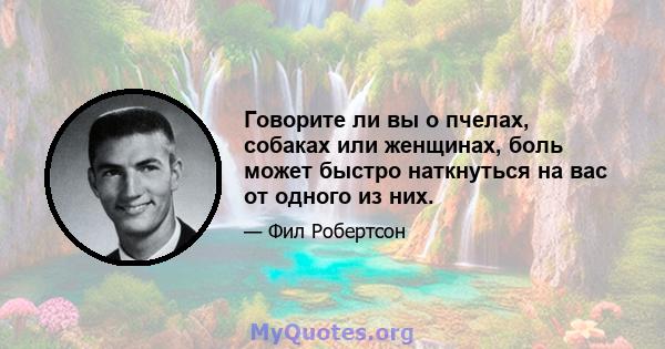 Говорите ли вы о пчелах, собаках или женщинах, боль может быстро наткнуться на вас от одного из них.