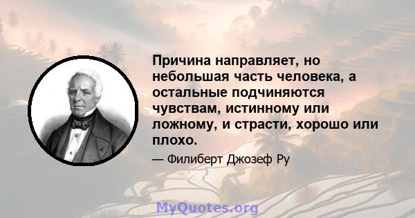 Причина направляет, но небольшая часть человека, а остальные подчиняются чувствам, истинному или ложному, и страсти, хорошо или плохо.