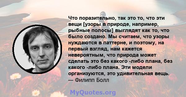 Что поразительно, так это то, что эти вещи [узоры в природе, например, рыбные полосы] выглядят как то, что было создано. Мы считаем, что узоры нуждаются в паттерне, и поэтому, на первый взгляд, нам кажется невероятным,