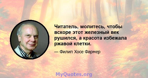 Читатель, молитесь, чтобы вскоре этот железный век рушился, а красота избежала ржавой клетки.