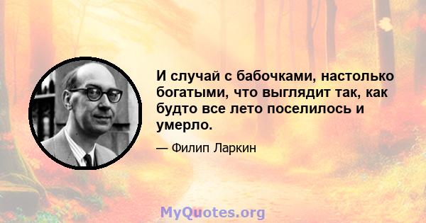 И случай с бабочками, настолько богатыми, что выглядит так, как будто все лето поселилось и умерло.