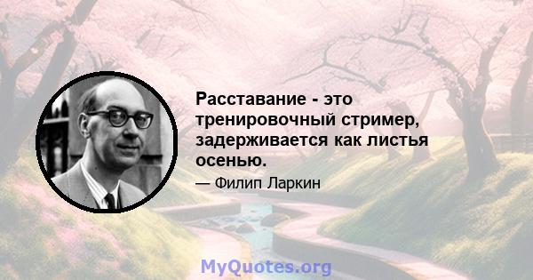 Расставание - это тренировочный стример, задерживается как листья осенью.