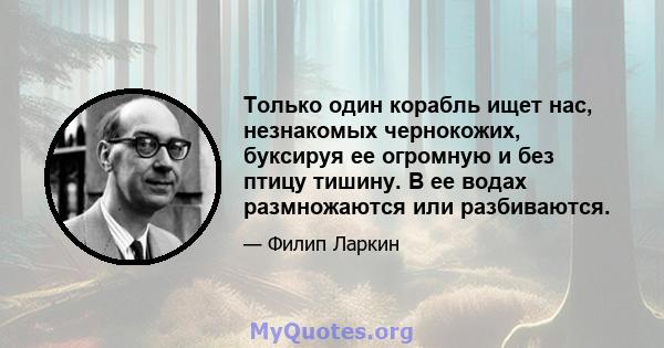 Только один корабль ищет нас, незнакомых чернокожих, буксируя ее огромную и без птицу тишину. В ее водах размножаются или разбиваются.