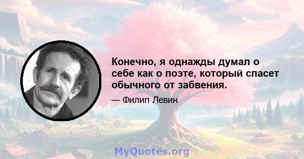 Конечно, я однажды думал о себе как о поэте, который спасет обычного от забвения.