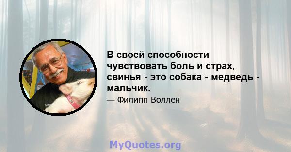 В своей способности чувствовать боль и страх, свинья - это собака - медведь - мальчик.