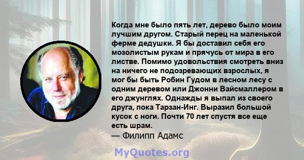 Когда мне было пять лет, дерево было моим лучшим другом. Старый перец на маленькой ферме дедушки. Я бы доставил себя его мозолистым рукам и прячусь от мира в его листве. Помимо удовольствия смотреть вниз на ничего не