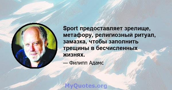 Sport предоставляет зрелище, метафору, религиозный ритуал, замазка, чтобы заполнить трещины в бесчисленных жизнях.