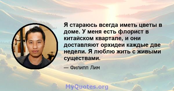 Я стараюсь всегда иметь цветы в доме. У меня есть флорист в китайском квартале, и они доставляют орхидеи каждые две недели. Я люблю жить с живыми существами.