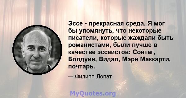 Эссе - прекрасная среда. Я мог бы упомянуть, что некоторые писатели, которые жаждали быть романистами, были лучше в качестве эссеистов: Сонтаг, Болдуин, Видал, Мэри Маккарти, почтарь.