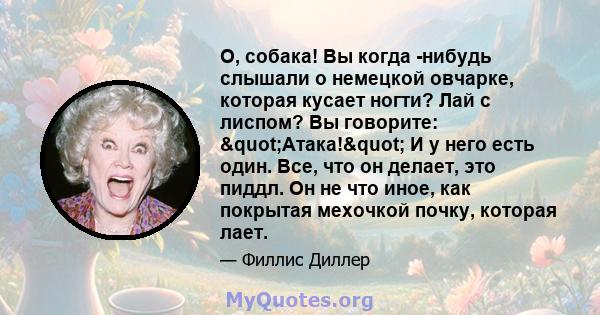 О, собака! Вы когда -нибудь слышали о немецкой овчарке, которая кусает ногти? Лай с лиспом? Вы говорите: "Атака!" И у него есть один. Все, что он делает, это пиддл. Он не что иное, как покрытая мехочкой почку, 