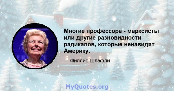 Многие профессора - марксисты или другие разновидности радикалов, которые ненавидят Америку.