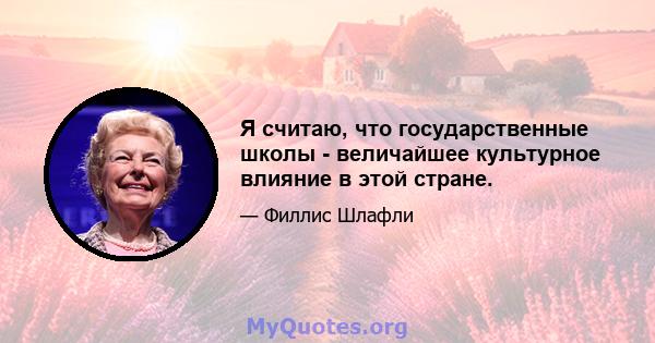 Я считаю, что государственные школы - величайшее культурное влияние в этой стране.