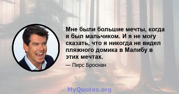 Мне были большие мечты, когда я был мальчиком. И я не могу сказать, что я никогда не видел пляжного домика в Малибу в этих мечтах.