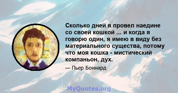 Сколько дней я провел наедине со своей кошкой ... и когда я говорю один, я имею в виду без материального существа, потому что моя кошка - мистический компаньон, дух.