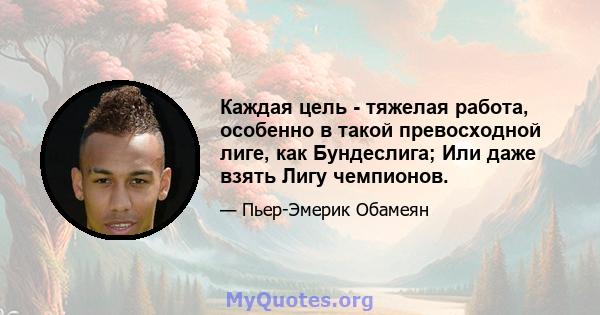 Каждая цель - тяжелая работа, особенно в такой превосходной лиге, как Бундеслига; Или даже взять Лигу чемпионов.