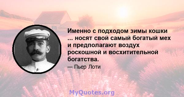 Именно с подходом зимы кошки ... носят свой самый богатый мех и предполагают воздух роскошной и восхитительной богатства.