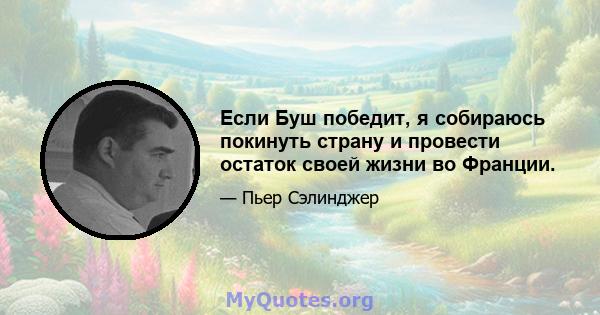 Если Буш победит, я собираюсь покинуть страну и провести остаток своей жизни во Франции.