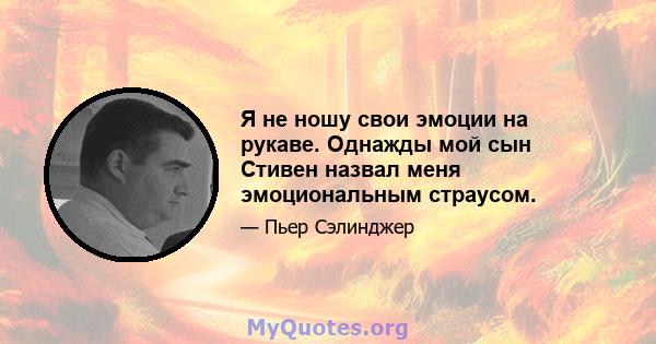 Я не ношу свои эмоции на рукаве. Однажды мой сын Стивен назвал меня эмоциональным страусом.