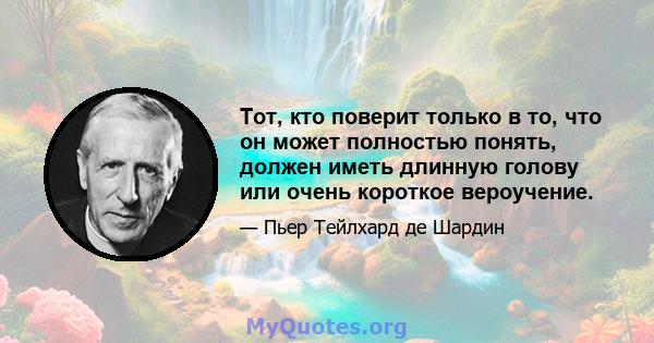 Тот, кто поверит только в то, что он может полностью понять, должен иметь длинную голову или очень короткое вероучение.