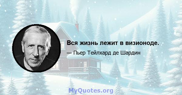 Вся жизнь лежит в визионоде.