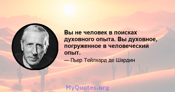 Вы не человек в поисках духовного опыта. Вы духовное, погруженное в человеческий опыт.