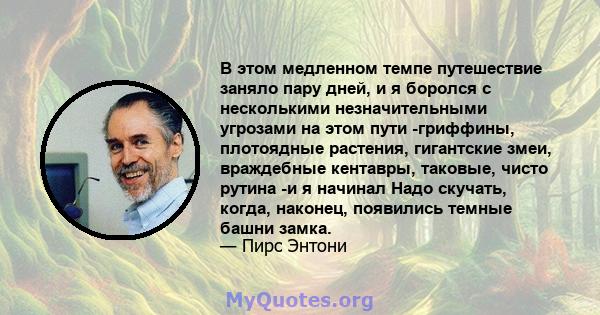 В этом медленном темпе путешествие заняло пару дней, и я боролся с несколькими незначительными угрозами на этом пути -гриффины, плотоядные растения, гигантские змеи, враждебные кентавры, таковые, чисто рутина -и я