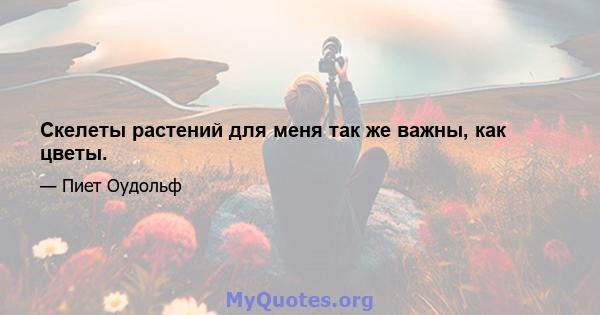 Скелеты растений для меня так же важны, как цветы.