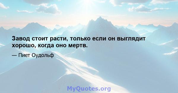 Завод стоит расти, только если он выглядит хорошо, когда оно мертв.