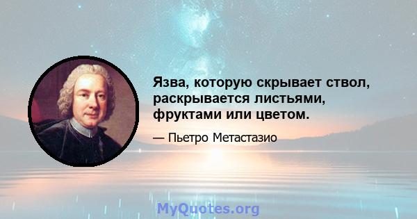 Язва, которую скрывает ствол, раскрывается листьями, фруктами или цветом.