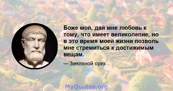 Боже мой, дай мне любовь к тому, что имеет великолепие, но в это время моей жизни позволь мне стремиться к достижимым вещам.