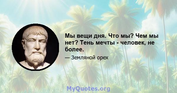 Мы вещи дня. Что мы? Чем мы нет? Тень мечты - человек, не более.