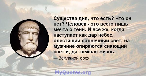 Существа дня, что есть? Что он нет? Человек - это всего лишь мечта о тени. И все же, когда наступает как дар небес, блестящий солнечный свет, на мужчине опираются сияющий свет и, да, нежная жизнь.