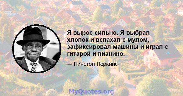 Я вырос сильно. Я выбрал хлопок и вспахал с мулом, зафиксировал машины и играл с гитарой и пианино.