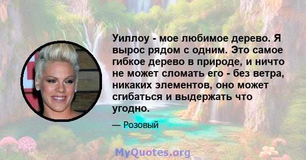 Уиллоу - мое любимое дерево. Я вырос рядом с одним. Это самое гибкое дерево в природе, и ничто не может сломать его - без ветра, никаких элементов, оно может сгибаться и выдержать что угодно.