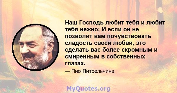 Наш Господь любит тебя и любит тебя нежно; И если он не позволит вам почувствовать сладость своей любви, это сделать вас более скромным и смиренным в собственных глазах.