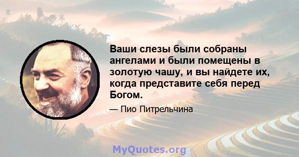 Ваши слезы были собраны ангелами и были помещены в золотую чашу, и вы найдете их, когда представите себя перед Богом.