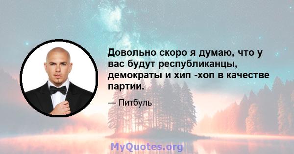 Довольно скоро я думаю, что у вас будут республиканцы, демократы и хип -хоп в качестве партии.