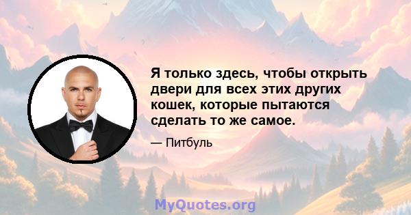 Я только здесь, чтобы открыть двери для всех этих других кошек, которые пытаются сделать то же самое.