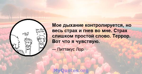 Мое дыхание контролируется, но весь страх и гнев во мне. Страх слишком простой слово. Террор. Вот что я чувствую.