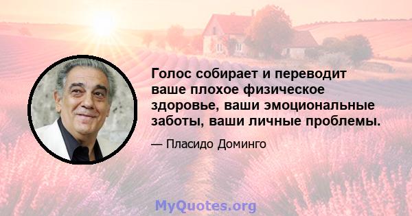 Голос собирает и переводит ваше плохое физическое здоровье, ваши эмоциональные заботы, ваши личные проблемы.