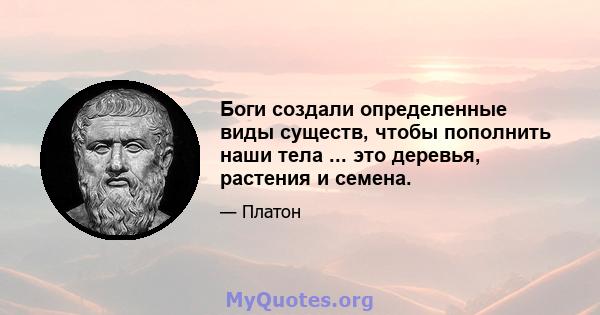 Боги создали определенные виды существ, чтобы пополнить наши тела ... это деревья, растения и семена.