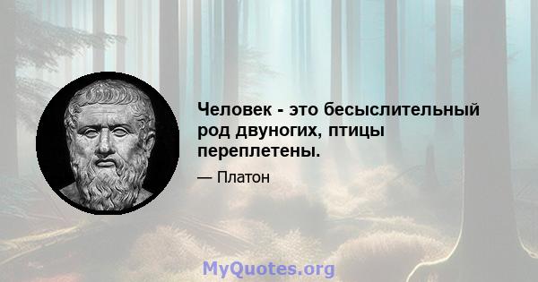 Человек - это бесыслительный род двуногих, птицы переплетены.