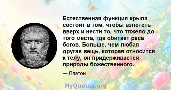 Естественная функция крыла состоит в том, чтобы взлететь вверх и нести то, что тяжело до того места, где обитает раса богов. Больше, чем любая другая вещь, которая относится к телу, он придерживается природы