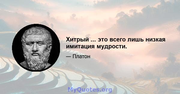 Хитрый ... это всего лишь низкая имитация мудрости.