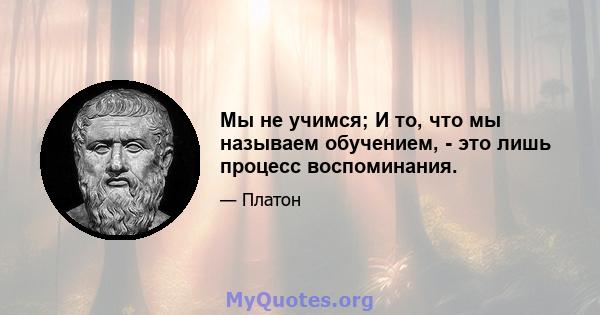 Мы не учимся; И то, что мы называем обучением, - это лишь процесс воспоминания.