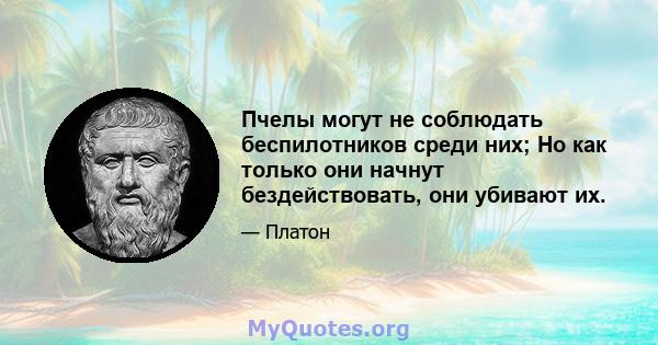 Пчелы могут не соблюдать беспилотников среди них; Но как только они начнут бездействовать, они убивают их.