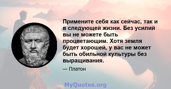 Примените себя как сейчас, так и в следующей жизни. Без усилий вы не можете быть процветающим. Хотя земля будет хорошей, у вас не может быть обильной культуры без выращивания.