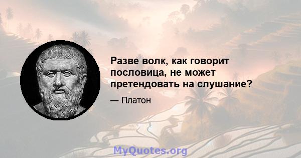 Разве волк, как говорит пословица, не может претендовать на слушание?