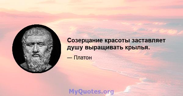 Созерцание красоты заставляет душу выращивать крылья.